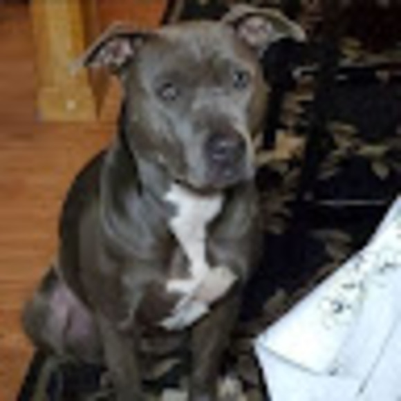 Meet your Posher, Todd - Picture 1 of 1